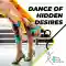 Dance of Hidden Desires Kurz Dance of Hidden Desires